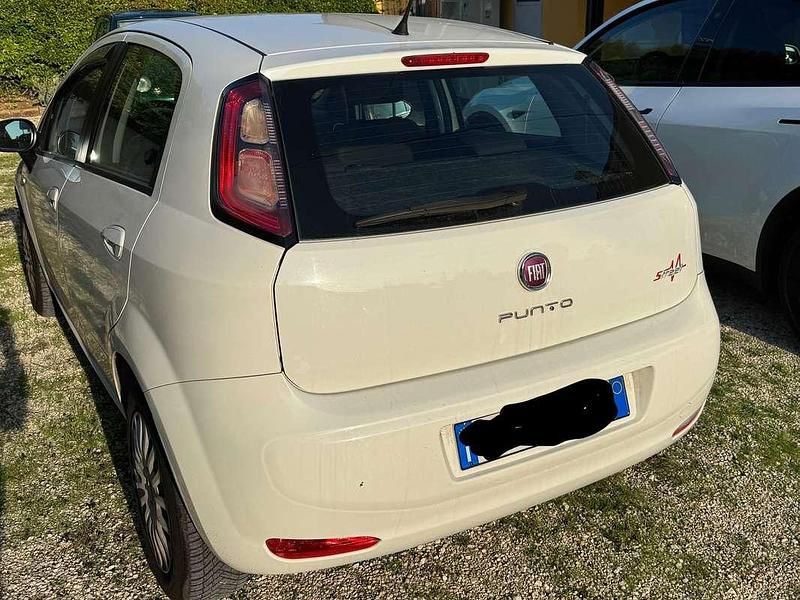 Usata Fiat Punto Easy 75 CV (55 kW) 2013 Bianco Berlina