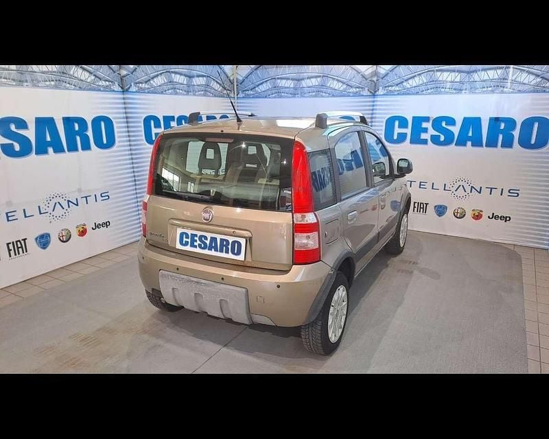Usata Fiat Panda 4x4 Climbing 69 CV (50 kW) 2010 Beige spumeggiante (metallizza Utilitaria
