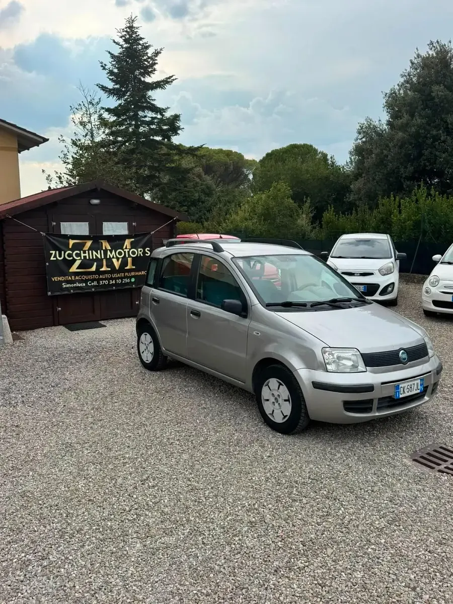 Usata Fiat Panda Active 54 CV (39 kW) 2004 Argento Utilitaria