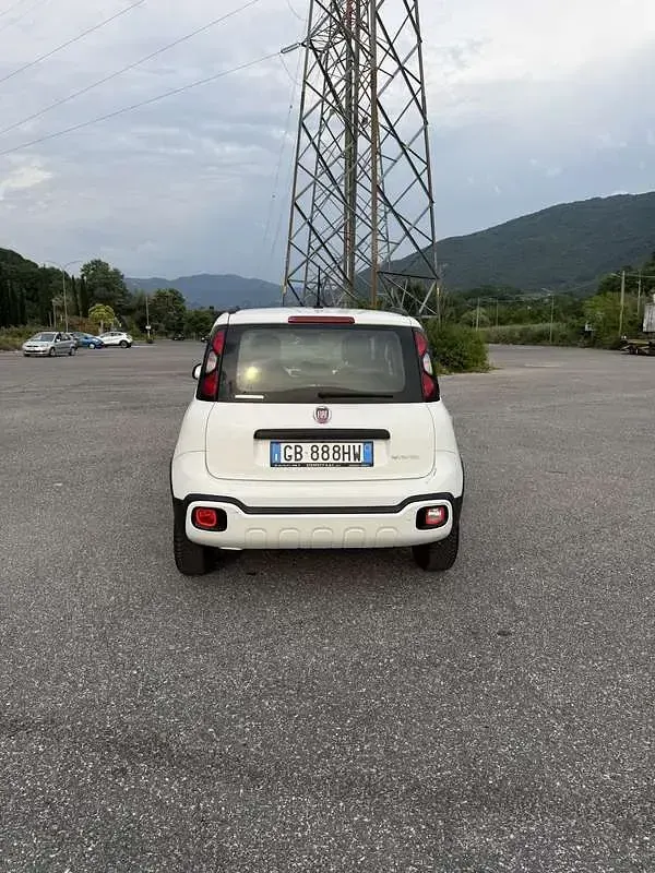 Usata Fiat Panda Cross Cross 69 CV (50 kW) 2020 Bianco Utilitaria