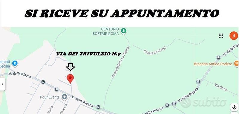 Occasion Dacia Duster 115 ch (84 kW) 2017 Blanc SUV