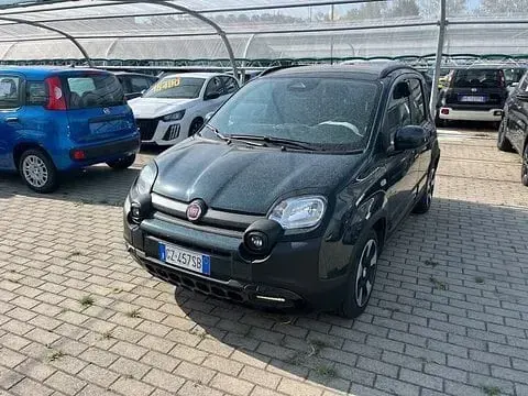 Usata Fiat Panda Cross Cross 69 CV (50 kW) 2025 Utilitaria