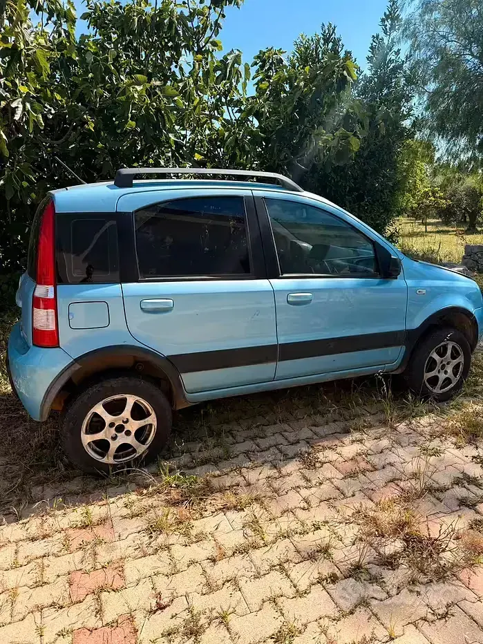 Usata Fiat Panda 4x4 60 CV (44 kW) 2005 Bluazzurro Utilitaria