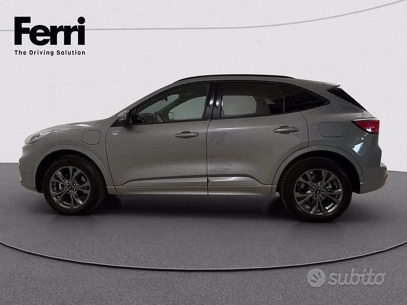 Usata Ford Kuga ST-Line X 225 CV (165 kW) 2023 Bianco frozen SUV