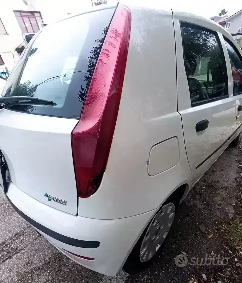 Usata Fiat Punto 60 CV (44 kW) 2010 Utilitaria