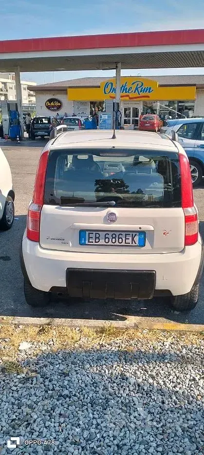 Usata Fiat Panda 4x4 75 CV (55 kW) 2011 Utilitaria
