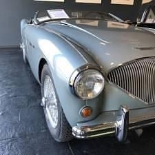 Usata Austin Healey 100 90 CV (66 kW) 1954 Blu Cabrio