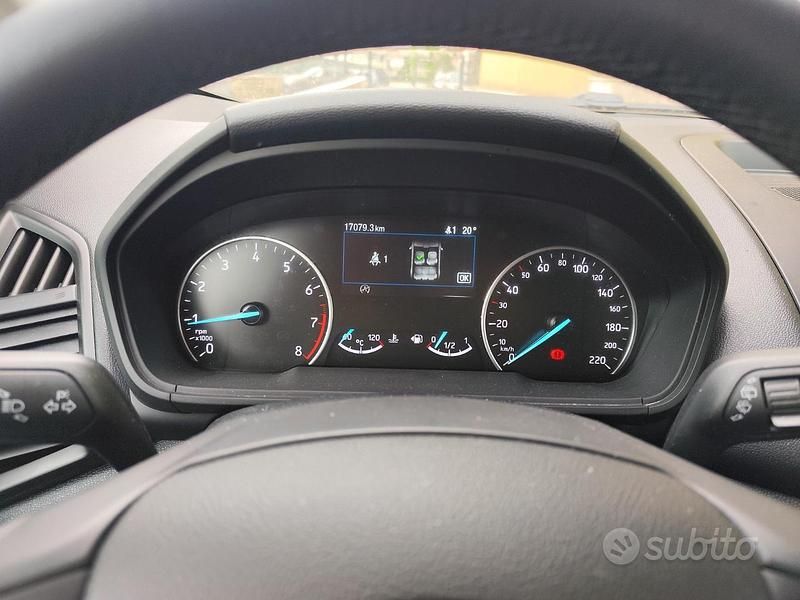 Usata Ford Ecosport 125 CV (91 kW) 2021 Grigio SUV