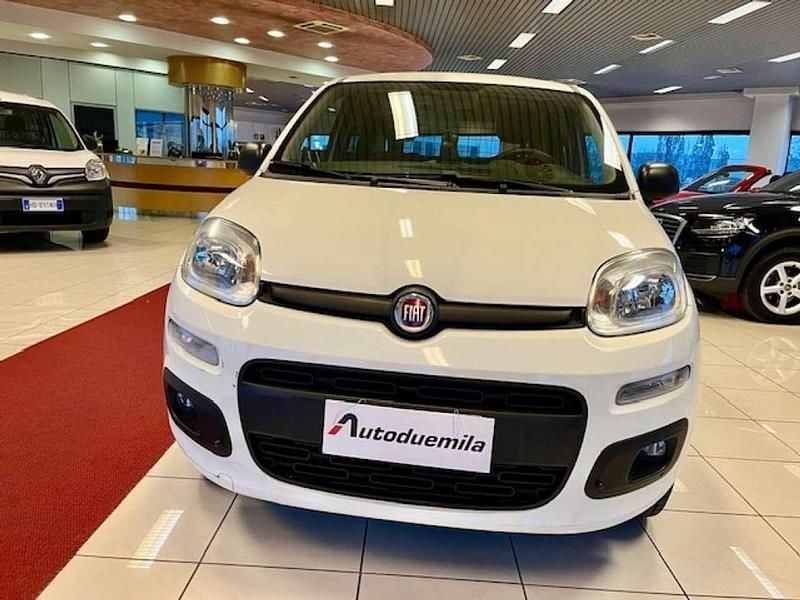 Usata Fiat Panda 4x4 Pop 86 CV (63 kW) 2020 Bianco Utilitaria