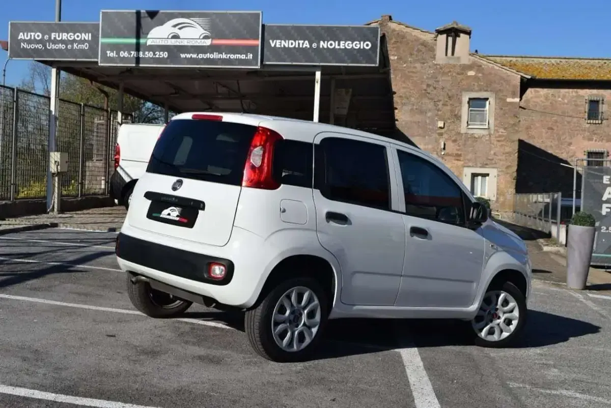 Usata Fiat Panda 84 CV (61 kW) 2020 Bianco Utilitaria