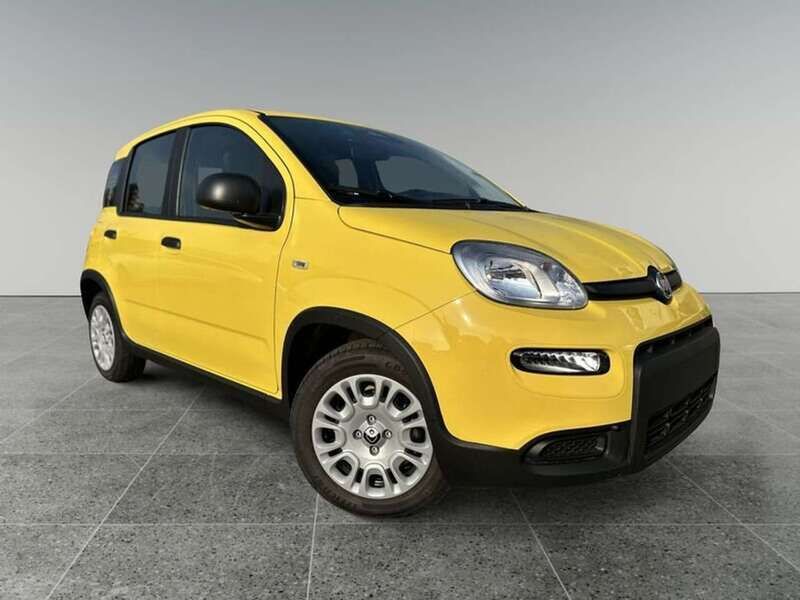 Usata Fiat Panda S 69 CV (50 kW) 2024 Giallo Utilitaria