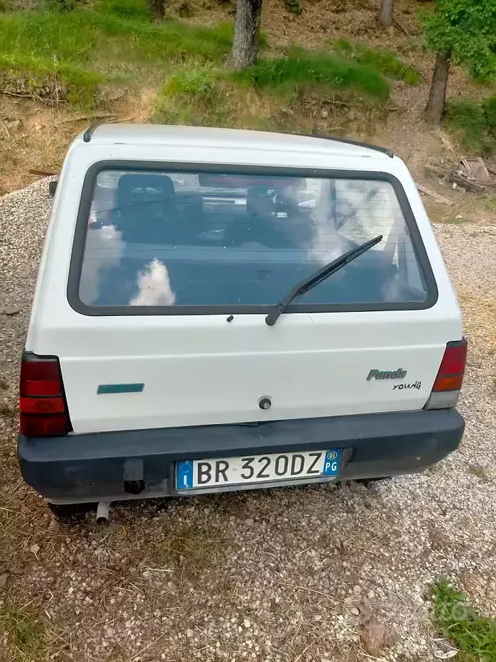 Usata Fiat Panda Young 54 CV (39 kW) 2001 Bianco Berlina
