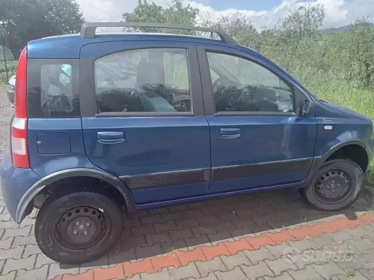 Usata Fiat Panda 4x4 69 CV (50 kW) 2006 Blu Utilitaria