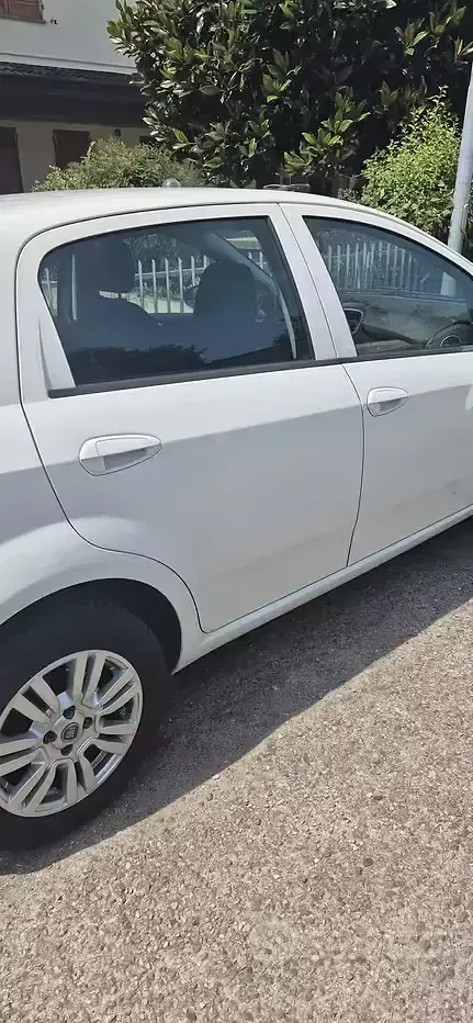 Usata Fiat Punto 77 CV (56 kW) 2015 Utilitaria