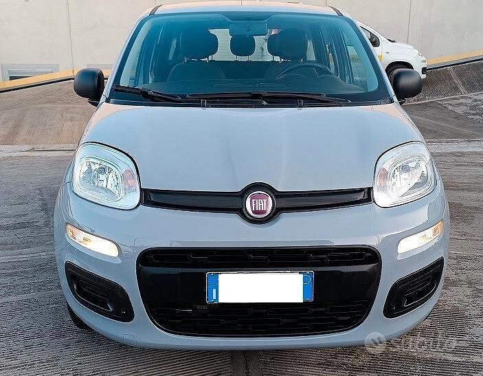 Begagnad Fiat Panda Easy 69 HK (50 kW) 2019 Grå Halvkombi