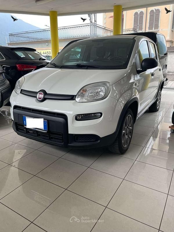 Usata Fiat Panda 4x4 86 CV (63 kW) 2014 Bianco Utilitaria