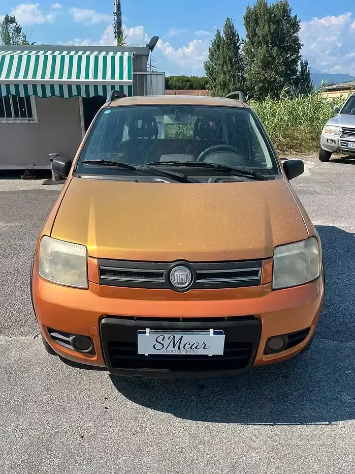 Usata Fiat Panda 4x4 69 CV (50 kW) 2008 Arancione Utilitaria