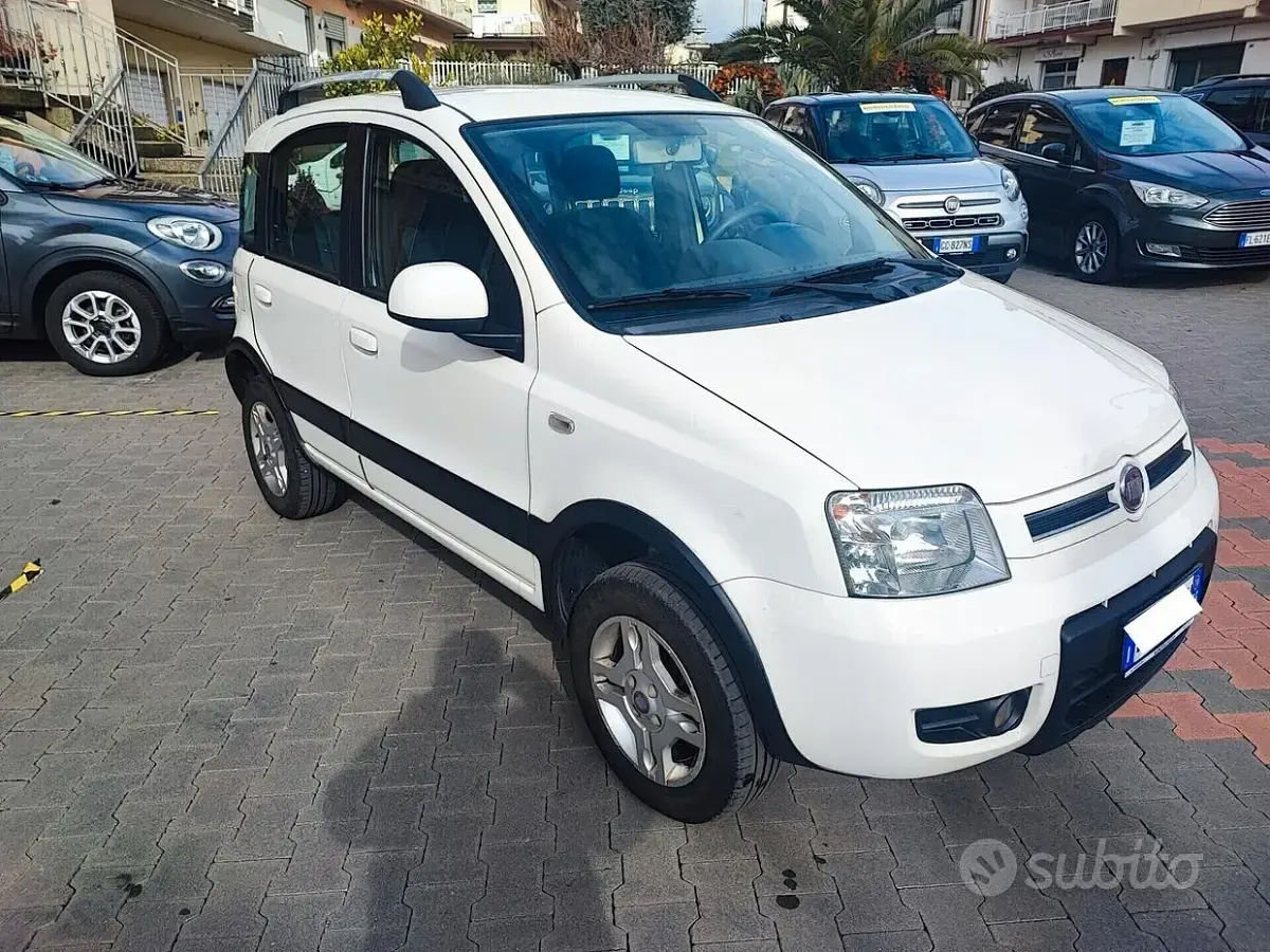 Usata Fiat Panda 4x4 Climbing 69 CV (50 kW) 2010 Bianco Utilitaria