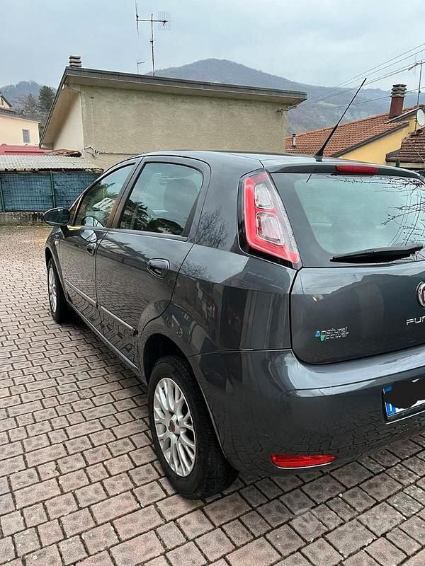 Usata Fiat Punto Street 77 CV (56 kW) 2014 Grigio Utilitaria
