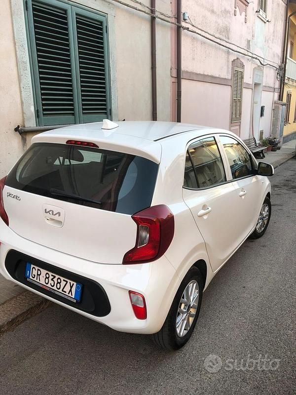 Usata Kia Picanto 63 CV (46 kW) 2024 Bianco Utilitaria