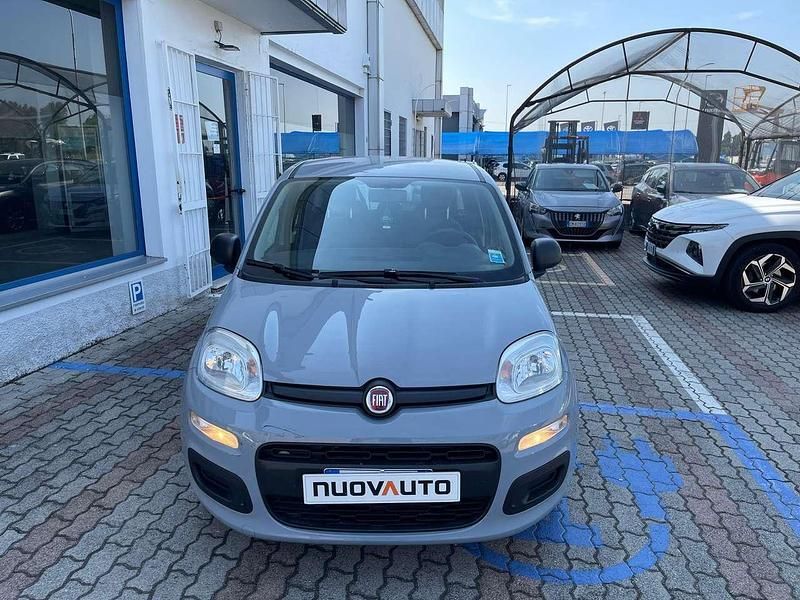 Usata Fiat Panda Easy 69 CV (50 kW) 2021 Grigio Utilitaria