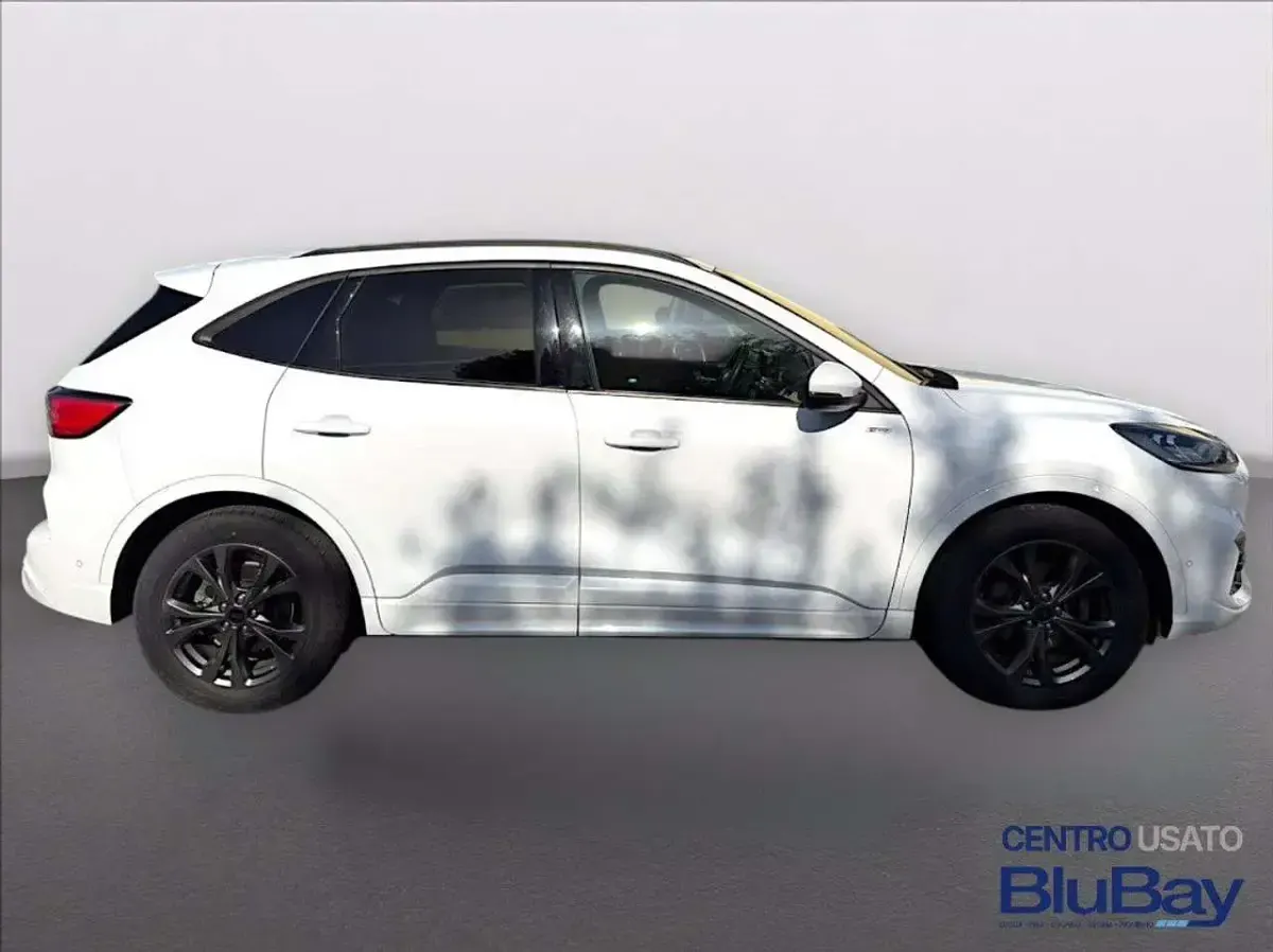 Usata Ford Kuga ST-Line X 190 CV (139 kW) 2023 Frozen white SUV