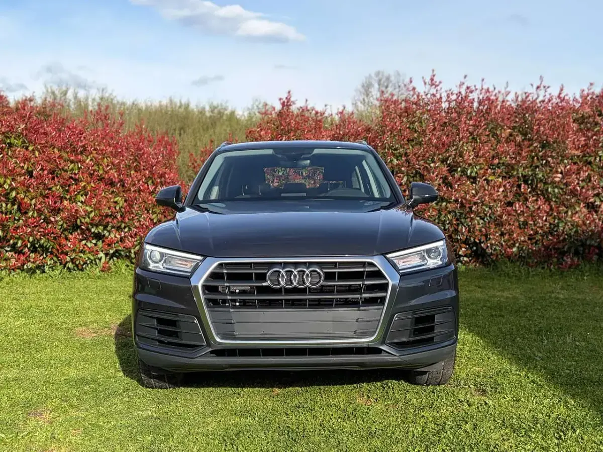 Usata Audi Q5 Business 190 CV (139 kW) 2018 Grigio SUV
