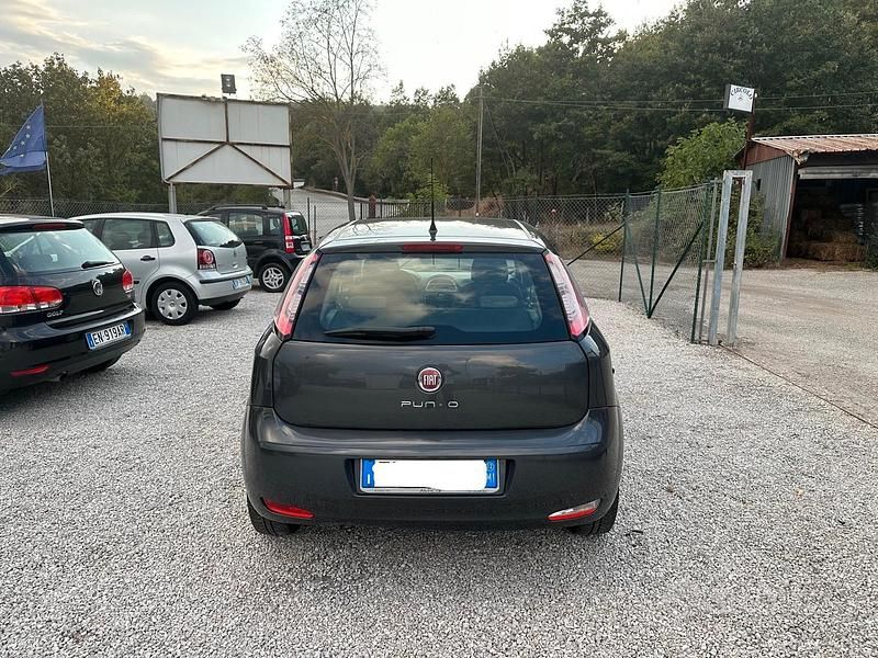 Usata Fiat Punto Easy 75 CV (55 kW) 2012 Grigio Berlina