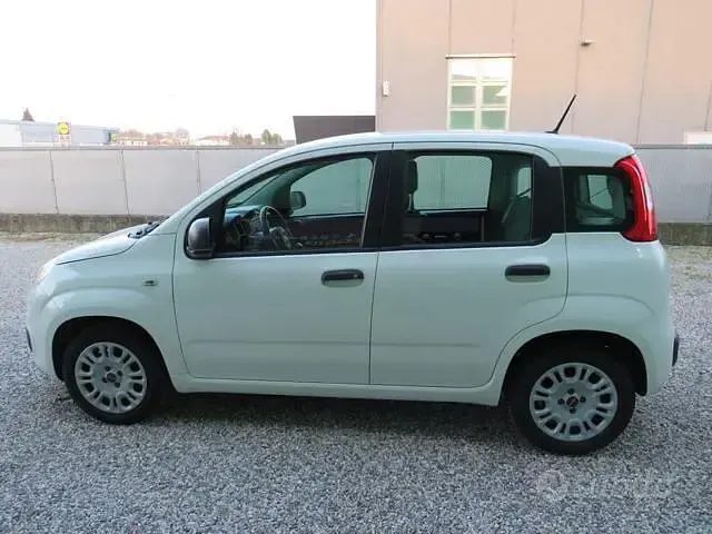 Usata Fiat Panda Easy 69 CV (50 kW) 2020 Bianco Utilitaria