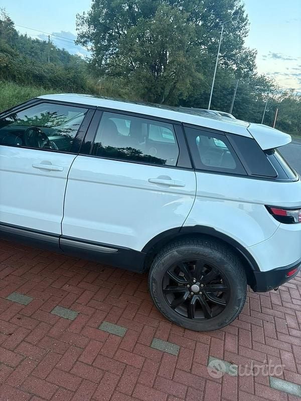 Usata Land Rover Range Rover evoque 150 CV (110 kW) 2012 Bianco SUV