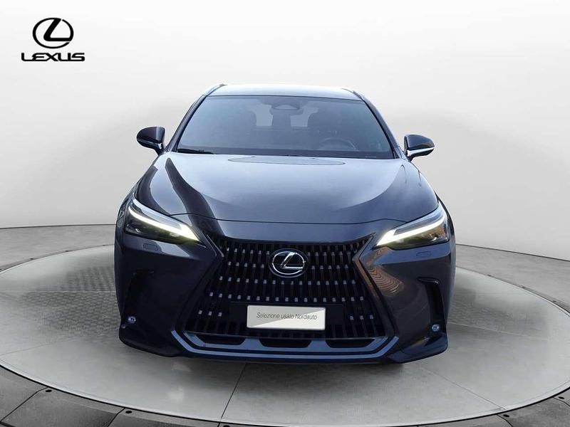 Usata Lexus NX300 Luxury Line 309 CV (227 kW) 2023 Grigio SUV