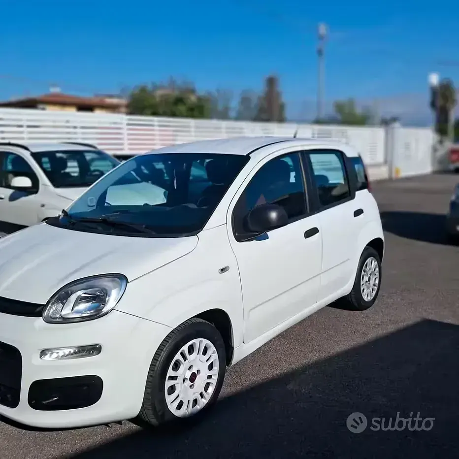 Usata Fiat Panda Easy 75 CV (55 kW) 2014 Bianco Utilitaria