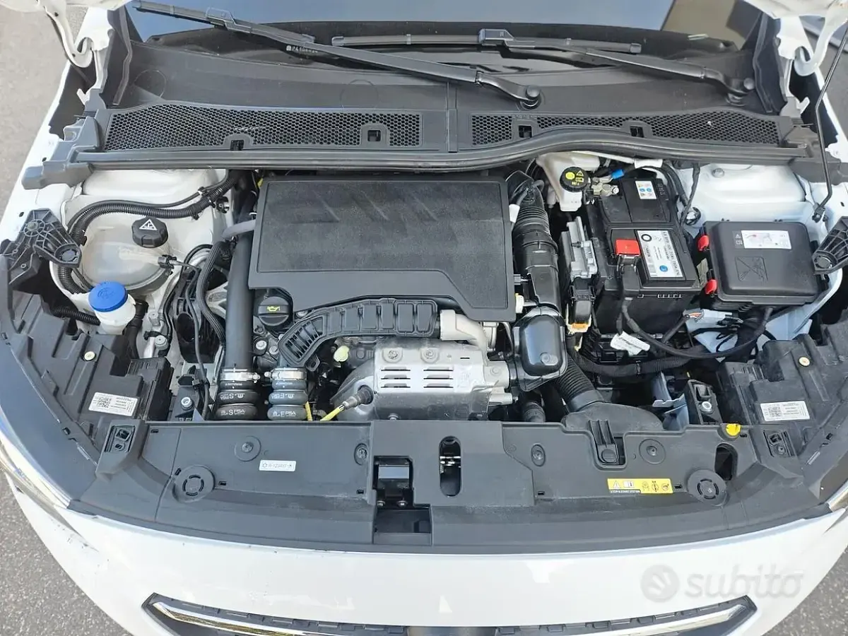 Usata Opel Corsa 101 CV (74 kW) 2023 Bianco Utilitaria