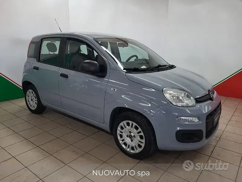 Usata Fiat Panda Easy 69 CV (50 kW) 2019 Grigio Utilitaria