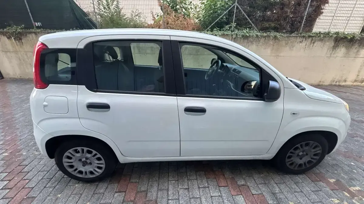 Usata Fiat Panda Easy 69 CV (50 kW) 2017 Bianco Utilitaria