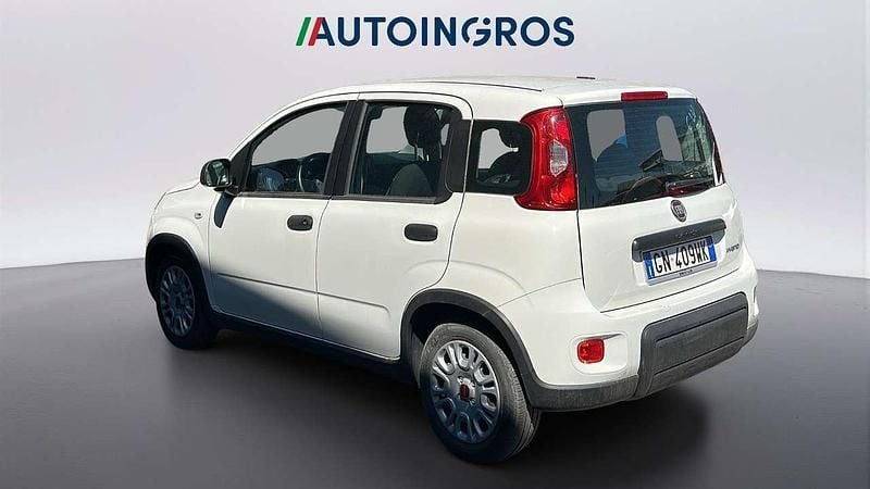 Usata Fiat Panda S 69 CV (50 kW) 2023 Bianco gelato Utilitaria