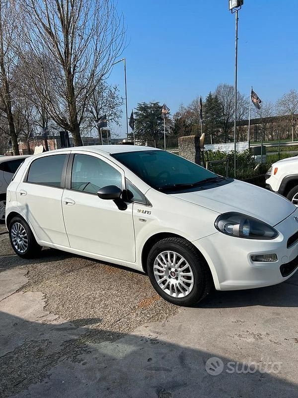 Usata Fiat Punto Lounge 69 CV (50 kW) 2014 Bianco Utilitaria