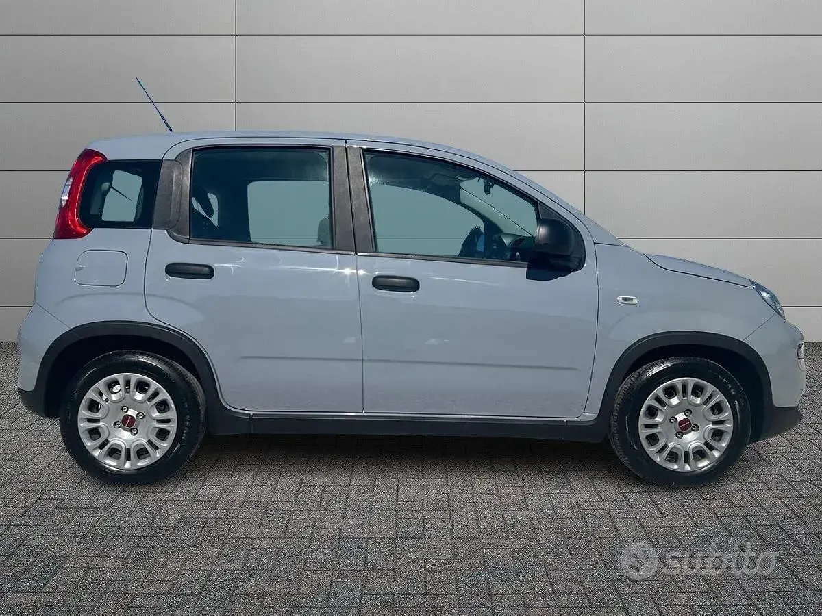 Usata Fiat Panda S 70 CV (51 kW) 2023 Grigio Utilitaria