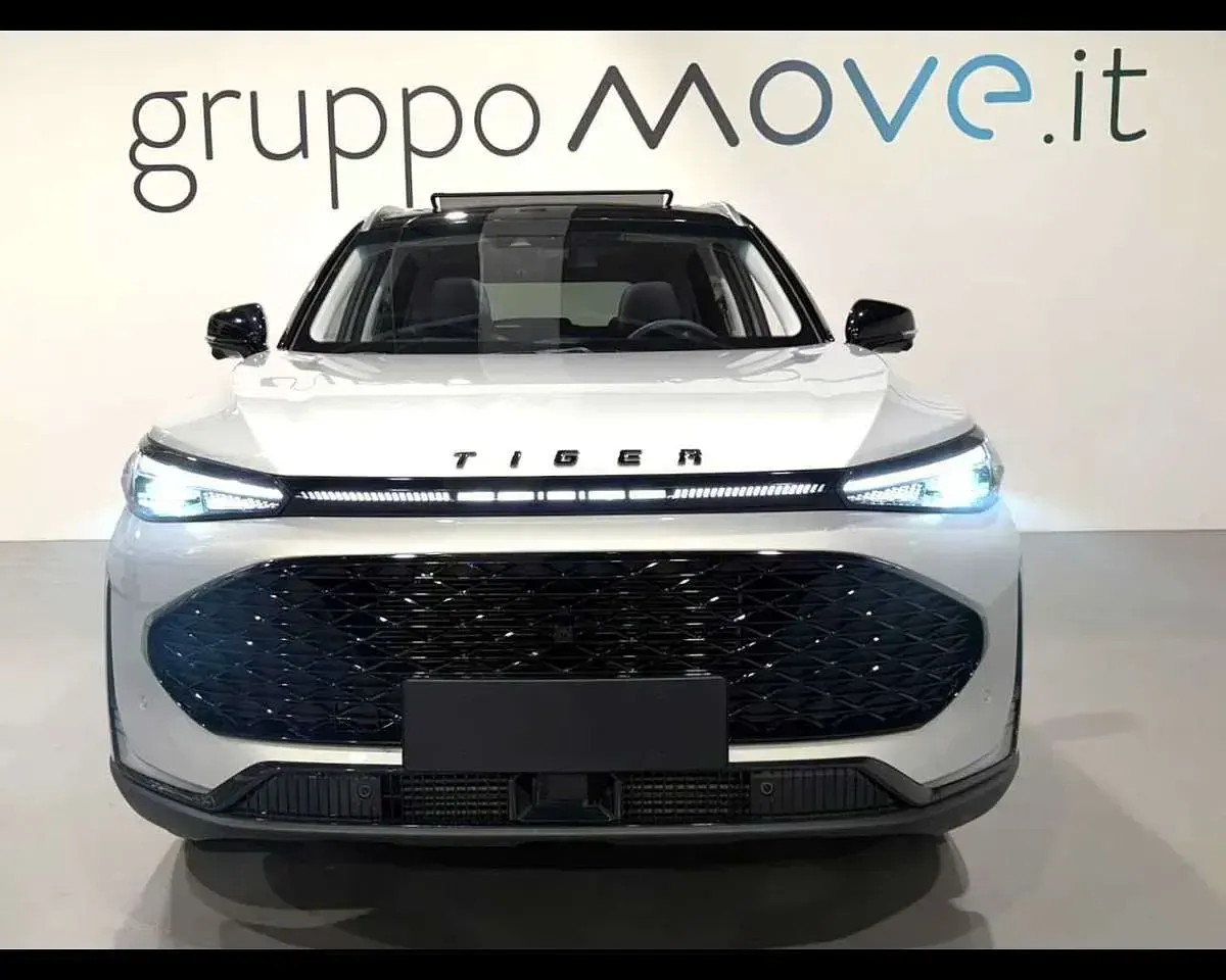 Usata Tiger Six 167 CV (122 kW) 2026 Sterling mist SUV