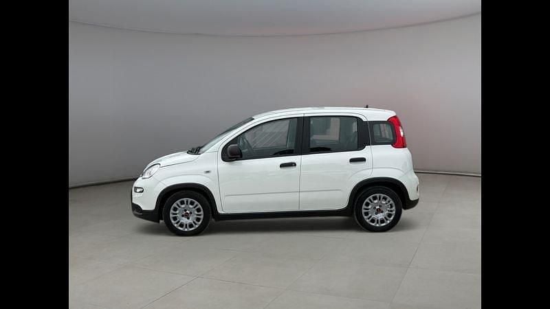 Usata Fiat Panda S 69 CV (50 kW) 2023 Bianco Utilitaria