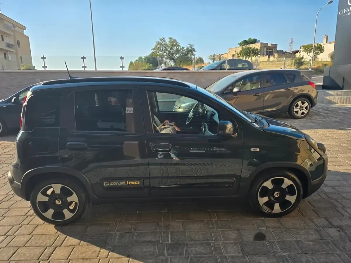 Usata Fiat Panda S 70 CV (51 kW) 2024 Verde Utilitaria