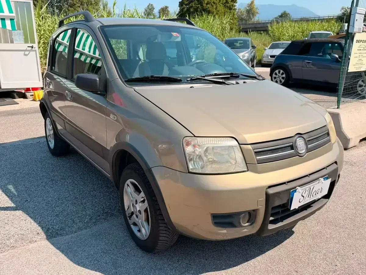 Usata Fiat Panda Climbing 60 CV (44 kW) 2009 Oro Utilitaria