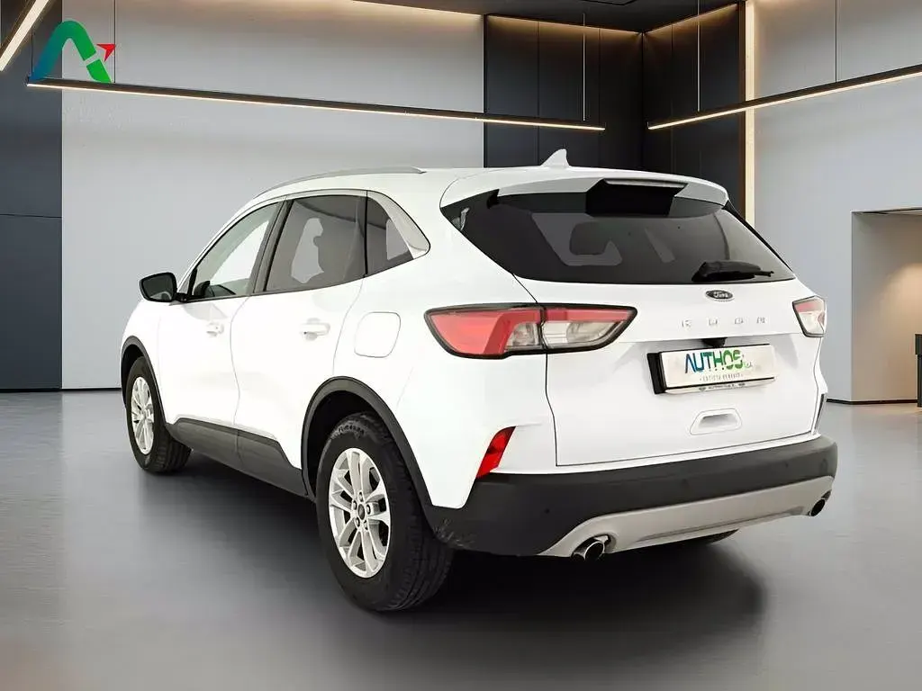 Usata Ford Kuga Titanium 150 CV (110 kW) 2023 Bianco SUV