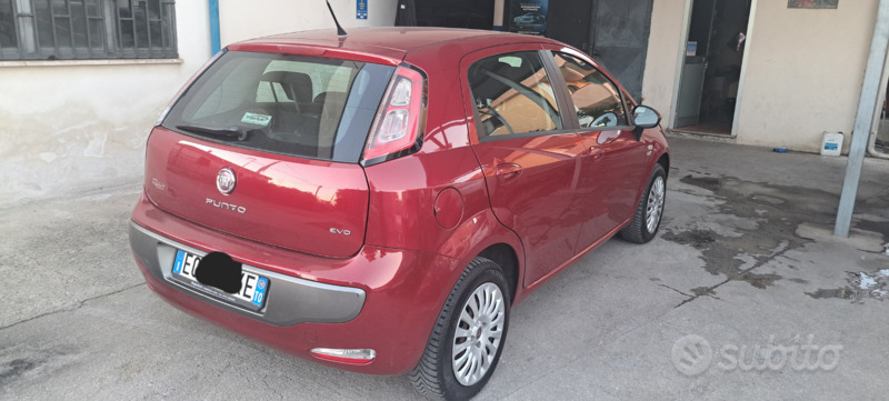 Usato 2010 Fiat Punto Evo LPG_Hybrid (3.500 €)