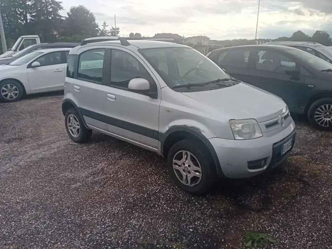 Usado Fiat Panda 4x4 69 HP (50 kW) 2010 Citadino