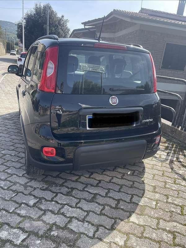 Usata Fiat Panda Easy 69 CV (50 kW) 2021 Utilitaria