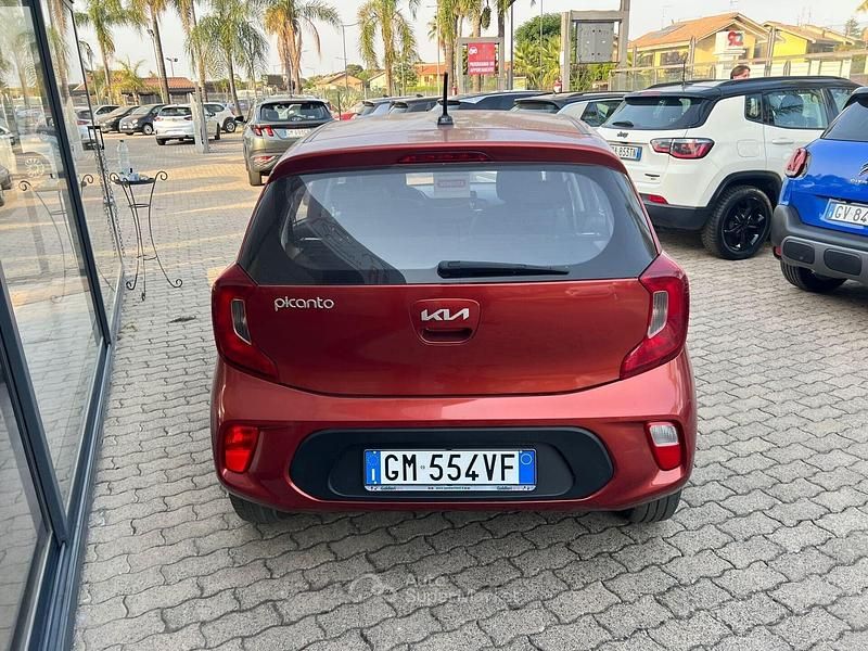 Usata Kia Picanto X-Line 67 CV (49 kW) 2023 Rosso Utilitaria
