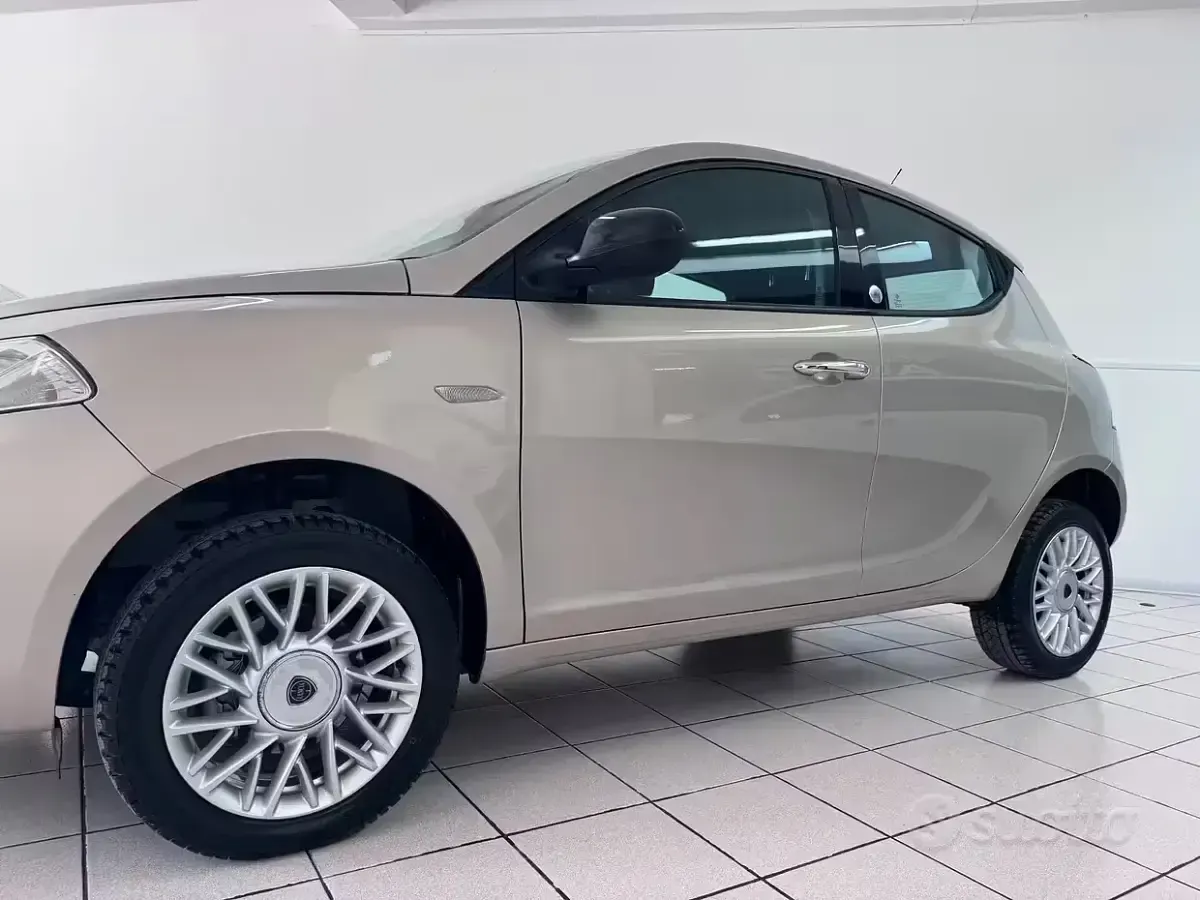 Usata Lancia Ypsilon 80 CV (58 kW) 2014 Marrone Utilitaria
