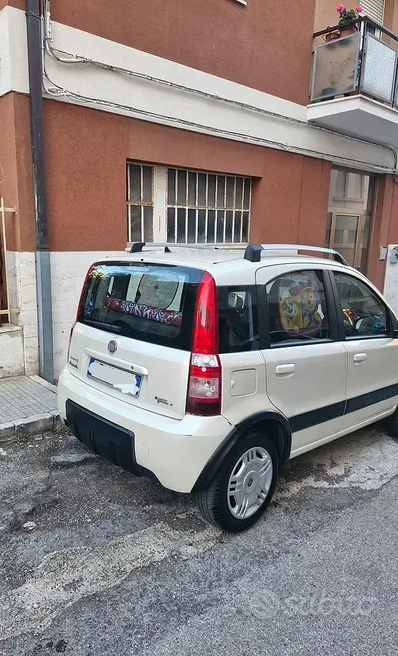 Usata Fiat Panda 100 CV (73 kW) 2011 Utilitaria