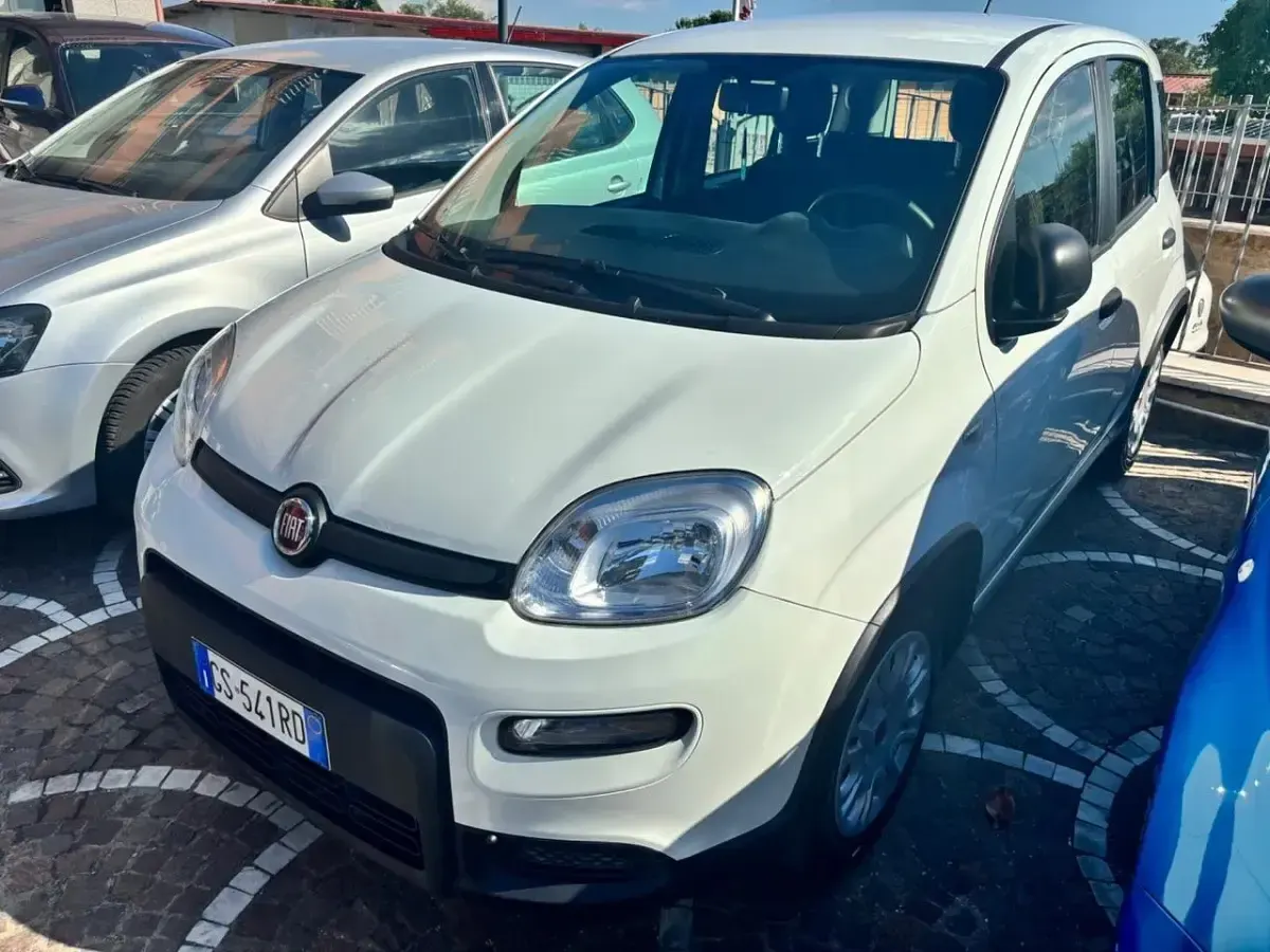 Usata Fiat Panda S 69 CV (50 kW) 2024 Bianco Utilitaria